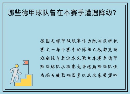 哪些德甲球队曾在本赛季遭遇降级？